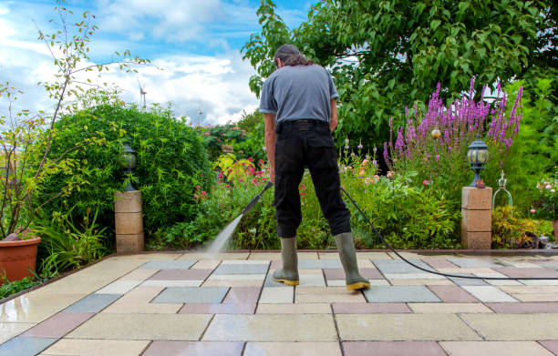 Best Brick and Stone Cleaning in Olivarez, TX