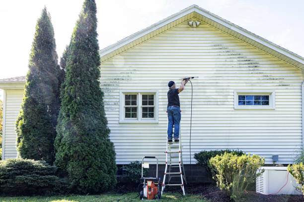 Best Residential Pressure Washing in Olivarez, TX
